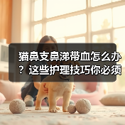 猫鼻支鼻涕带血怎么办？这些护理技巧你必须知道！（图2）