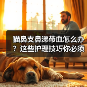 猫鼻支鼻涕带血怎么办？这些护理技巧你必须知道！（图3）