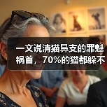 一文说清猫鼻支的罪魁祸首，70%的猫都躲不过！（图4）