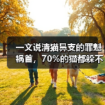 一文说清猫鼻支的罪魁祸首，70%的猫都躲不过！（图2）