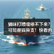 猫咪打喷嚏停不下来?可能是猫鼻支!快看自救方案(图2) 猫咪打喷嚏停不下来?可能是猫鼻支!快看自救方案(图2)