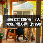 猫鼻支自救指南:7天家庭护理方案(附药物清单)(图2) 猫鼻支自救指南:7天家庭护理方案(附药物清单)(图2)