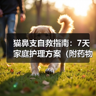 猫鼻支自救指南:7天家庭护理方案(附药物清单)(图4) 猫鼻支自救指南:7天家庭护理方案(附药物清单)(图4)