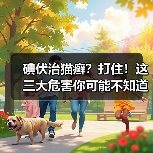 碘伏治猫癣？打住！这三大危害你可能不知道（图4）