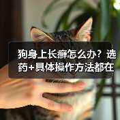 狗身上长癣怎么办?选药+具体操作方法都在这了(图3) 狗身上长癣怎么办?选药+具体操作方法都在这了(图3)