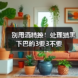 别用酒精擦！处理猫黑下巴的3要3不要（图4）
