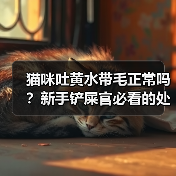 猫咪吐黄水带毛正常吗？新手铲屎官必看的处理指南（图4）