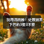 别用酒精擦！处理猫黑下巴的3要3不要（图3）