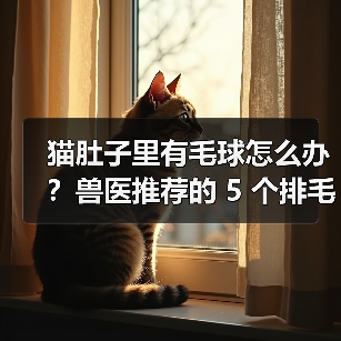 猫肚子里有毛球怎么办？兽医推荐的 5 个排毛方法-含自制化毛膏