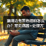 猫嘴边有黑色结痂怎么办？常见病因+处理方法（图2）