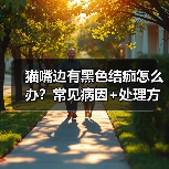 猫嘴边有黑色结痂怎么办？常见病因+处理方法（图3）