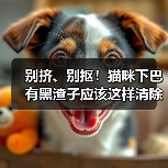 别挤、别抠！猫咪下巴有黑渣子应该这样清除！（图1）