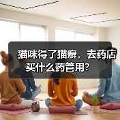 猫咪得了猫癣,去药店买什么药管用?(图4) 猫咪得了猫癣,去药店买什么药管用?(图4)