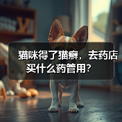 猫咪得了猫癣,去药店买什么药管用?(图3) 猫咪得了猫癣,去药店买什么药管用?(图3)