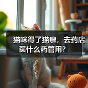 猫咪得了猫癣，去药店买什么药管用？