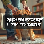猫咪吐毛球还不吃东西？这3个应对步骤超实用（图4）
