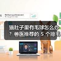 猫肚子里有毛球怎么办？兽医推荐的 5 个排毛方法-含自制化毛膏（图2）