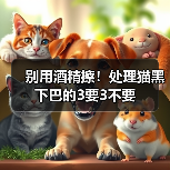 别用酒精擦！处理猫黑下巴的3要3不要