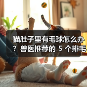 猫肚子里有毛球怎么办？兽医推荐的 5 个排毛方法-含自制化毛膏（图4）