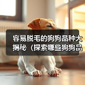 容易脱毛的狗狗品种大揭秘（探索哪些狗狗品种容易脱毛及如何有效应对）（图4）