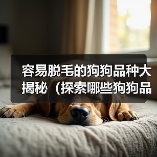 容易脱毛的狗狗品种大揭秘（探索哪些狗狗品种容易脱毛及如何有效应对）