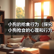 小狗的抢食行为（探究小狗抢食的心理和行为特点，了解如何改善其饮食习惯）（图3）