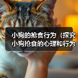 小狗的抢食行为（探究小狗抢食的心理和行为特点，了解如何改善其饮食习惯）（图4）