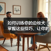 如何训练你的边牧犬（掌握这些技巧，让你的宠物成为听从你指挥的好狗狗）