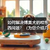 如何解决博美犬的咬东西问题？（为您介绍几种方法和技巧，让您的宠物停止咬东西。）