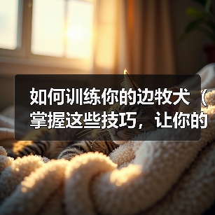 如何训练你的边牧犬（掌握这些技巧，让你的宠物成为听从你指挥的好狗狗）（图2）