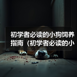 初学者必读的小狗饲养指南（初学者必读的小狗饲养指南）