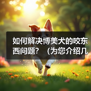 如何解决博美犬的咬东西问题?(为您介绍几种方法和技巧,让您的宠物停止咬东西。)(图3) 如何解决博美犬的咬东西问题?(为您介绍几种方法和技巧,让您的宠物停止咬东西。)(图3)