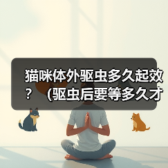 猫咪体外驱虫多久起效？（驱虫后要等多久才能见效？）