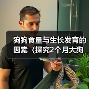 狗狗食量与生长发育的因素（探究2个月大狗狗的食量变化及其影响因素）