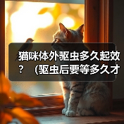 猫咪体外驱虫多久起效?(驱虫后要等多久才能见效?)(图2) 猫咪体外驱虫多久起效?(驱虫后要等多久才能见效?)(图2)