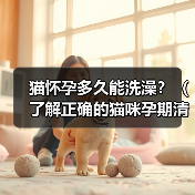 猫怀孕多久能洗澡？（了解正确的猫咪孕期清洁护理方法）