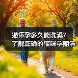 猫怀孕多久能洗澡?(了解正确的猫咪孕期清洁护理方法)(图2) 猫怀孕多久能洗澡?(了解正确的猫咪孕期清洁护理方法)(图2)