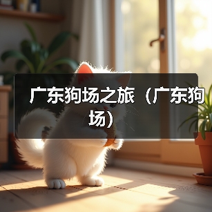 广东狗场之旅（广东狗场）
