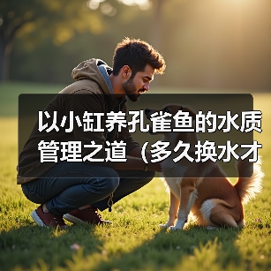 以小缸养孔雀鱼的水质管理之道(多久换水才能让孔雀鱼健康成长?)(图4) 以小缸养孔雀鱼的水质管理之道(多久换水才能让孔雀鱼健康成长?)(图4)
