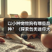 以小种宠物狗有哪些品种?(探索各类迷你犬的迷人特质和适应家庭生活的优势)(图3) 以小种宠物狗有哪些品种?(探索各类迷你犬的迷人特质和适应家庭生活的优势)(图3)