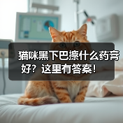 猫咪黑下巴擦什么药膏好?这里有答案!(图2) 猫咪黑下巴擦什么药膏好?这里有答案!(图2)