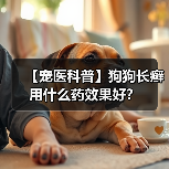 【宠医科普】狗狗长癣用什么药效果好?(图2) 【宠医科普】狗狗长癣用什么药效果好?(图2)