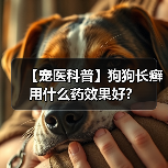 【宠医科普】狗狗长癣用什么药效果好？