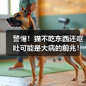警惕！猫不吃东西还呕吐可能是大病的前兆！