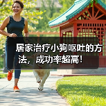 居家治疗小狗呕吐的方法，成功率超高！
