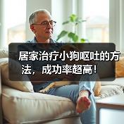 居家治疗小狗呕吐的方法，成功率超高！（图2）