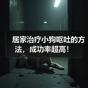 居家治疗小狗呕吐的方法，成功率超高！（图4）