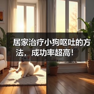 居家治疗小狗呕吐的方法，成功率超高！（图3）