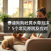 泰迪狗狗吐黄水带泡沫？5个常见原因及应对方法（图4）