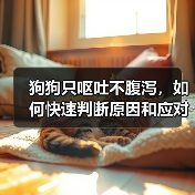 狗狗只呕吐不腹泻，如何快速判断原因和应对？